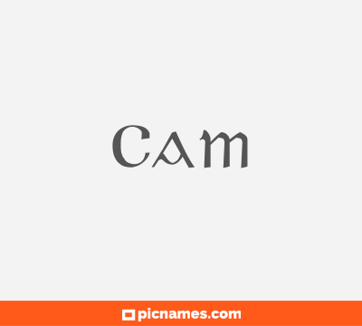 Cam