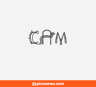Cam