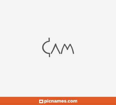 Cam