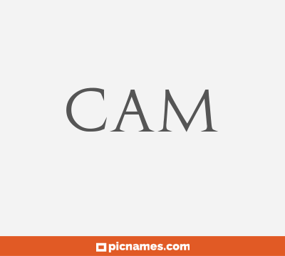 Cam