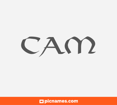 Cam