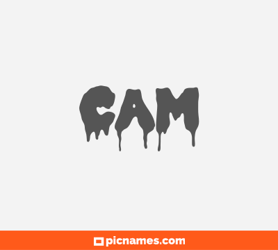 Cam