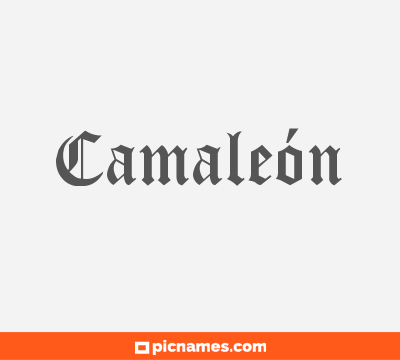 Camaleón