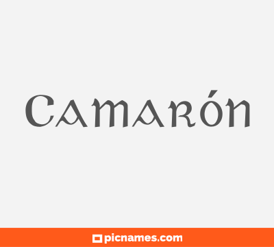 Camarón