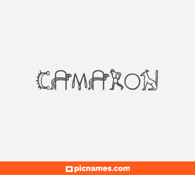 Camarón
