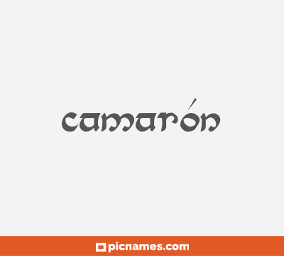 Camarón