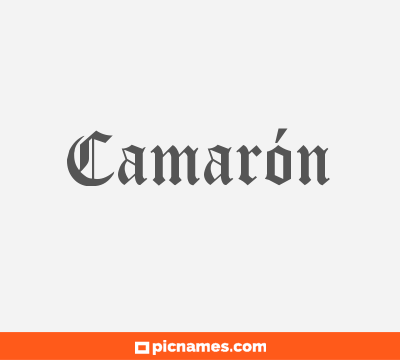 Camarón