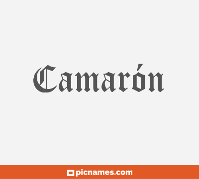 Camarón