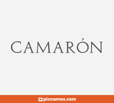 Camarón