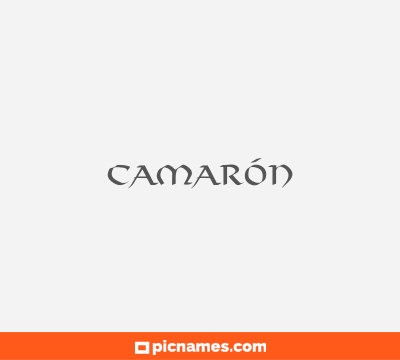Camarón