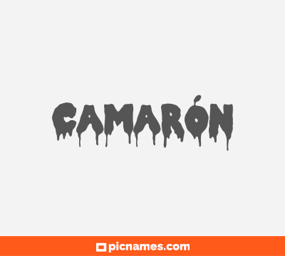 Camarón