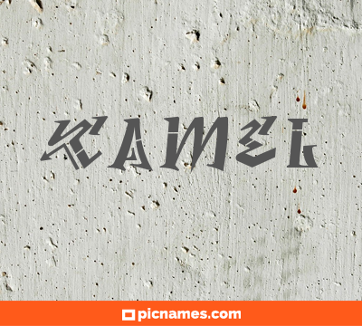 Camel