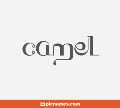 Camel
