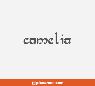 Camelia
