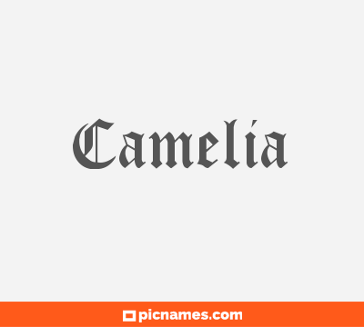 Camelia