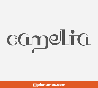 Camelia