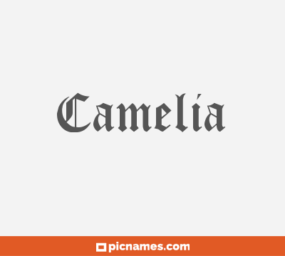 Camelia