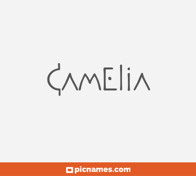 Camelia