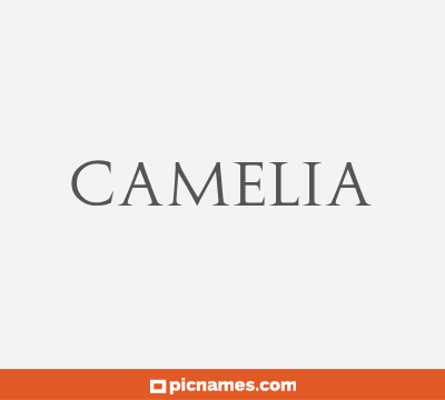 Camelia