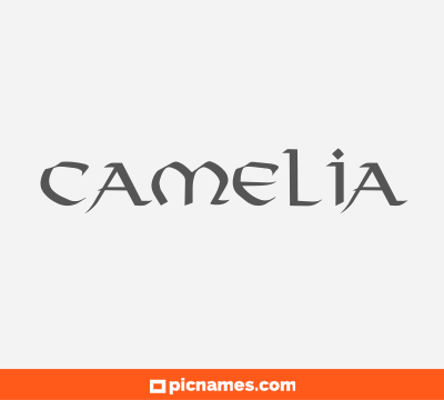 Camelia