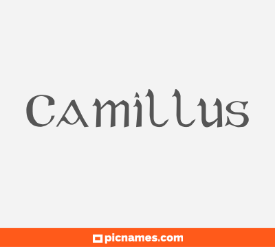 Camillus