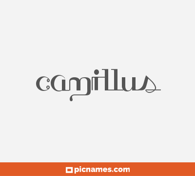 Camillus