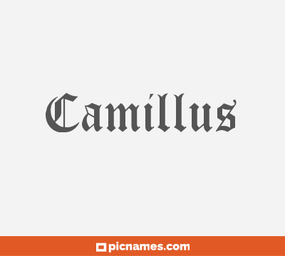 Camillus