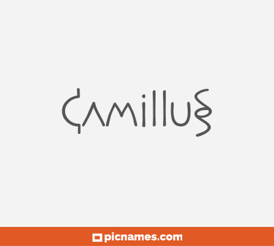 Camillus