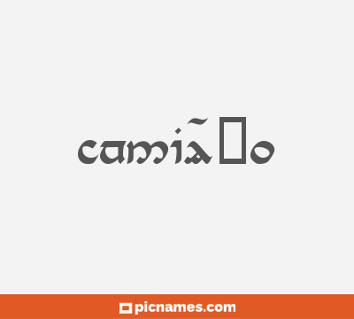CamiÃ±o