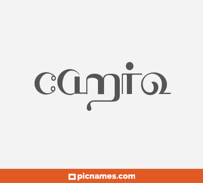 CamiÃ±o