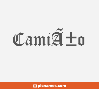CamiÃ±o