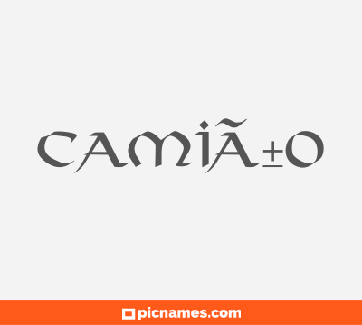 CamiÃ±o