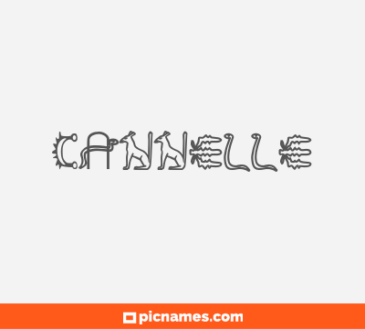 Cannelle