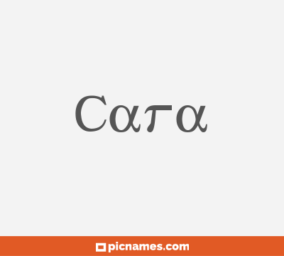 Cara