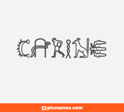 Carine