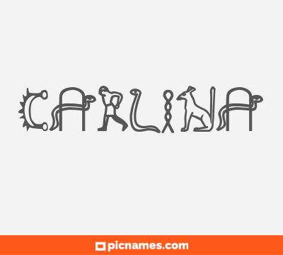 Carlina