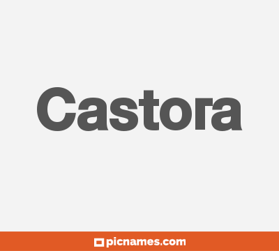 Castora