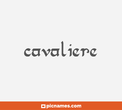 Cavaliere