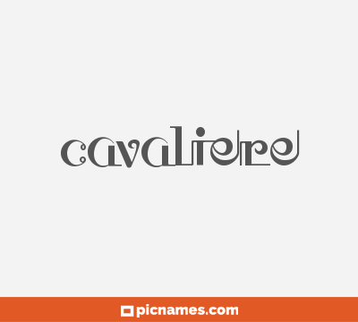 Cavaliere