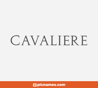 Cavaliere