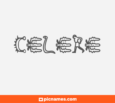 Celere