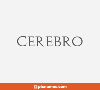 Cerebro