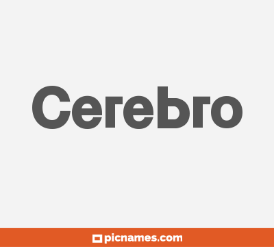 Cerebro