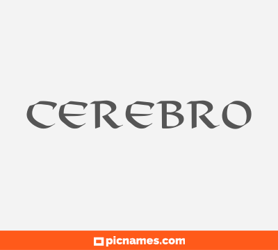 Cerebro