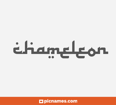 Chameleon