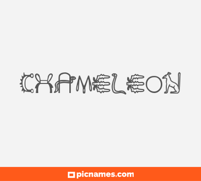 Chameleon