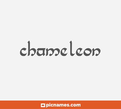 Chameleon