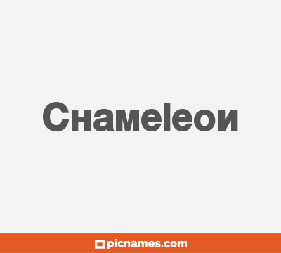 Chameleon