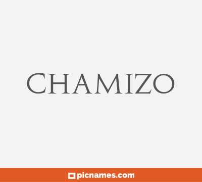 Chamizo