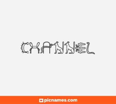 Channel